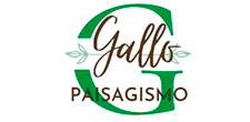 Logo da Galli